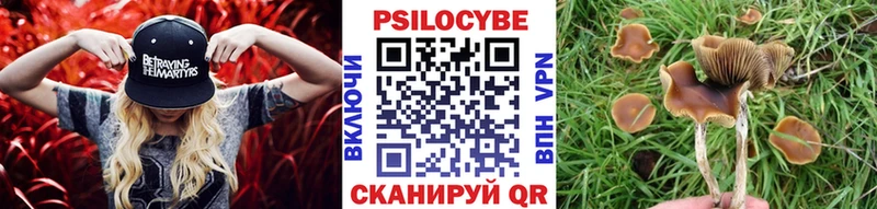Галлюциногенные грибы прущие грибы  Лагань 
